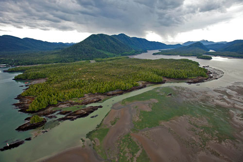 Skeena estuary